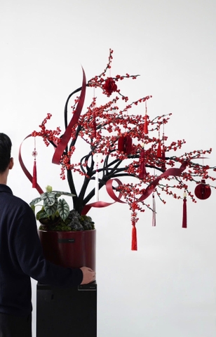 Set 10 đèn lồng giấy màu đỏ