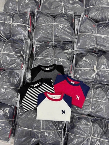 Set 4 áo dài tay raglan thêu basic xám, đỏ, đen, trắng