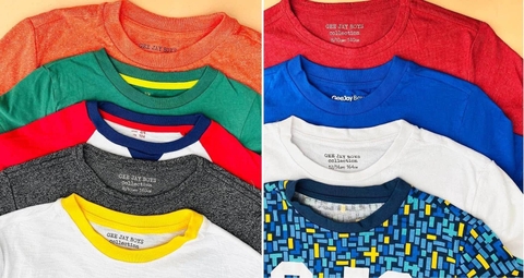 Áo phông cotton cộc tay bé trai nhiều mẫu hãng Geejay
