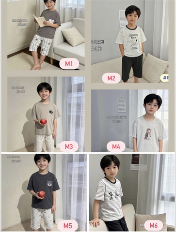 Bộ cotton lửng xuất Hàn 6 mẫu bé trai Mickey, Snoopy