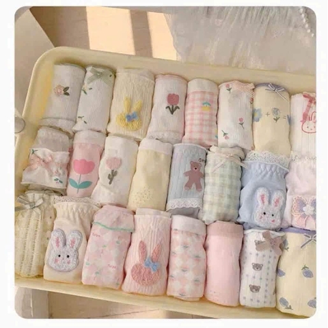 Set 8 quần chip cotton nguyên chất loại cao cấp 7A kháng khuẩn bóc túi mù