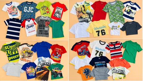 Áo phông cotton cộc tay bé trai nhiều mẫu hãng Geejay
