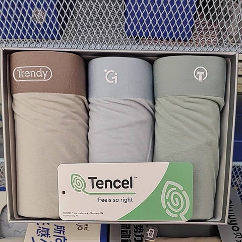 Set 3 quần chip 7A thun lạnh Tencel Giwuyo hộp xám bé trai