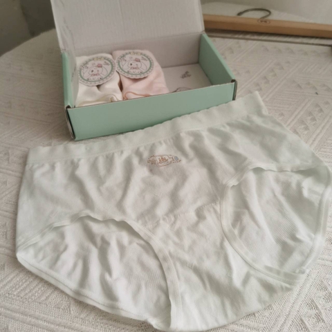 Set 3 quần chip DS Littledog cotton hộp xanh