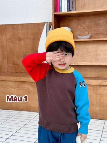 Áo len raglan cổ tròn mix màu 4 mẫu bé trai, bé gái