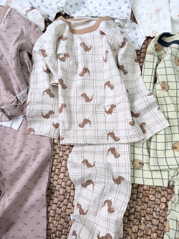 Bộ cotton dài tay nâu be hình khủng long kẻ ô bé trai