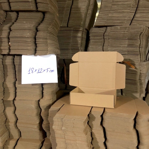 Hộp bìa carton nắp gài đóng hàng