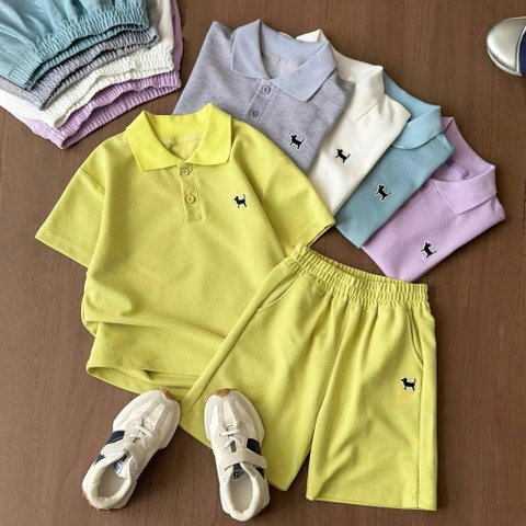 Bộ polo Happyniuniu cộc tay thêu chú chó 3 màu vàng, xanh, tím