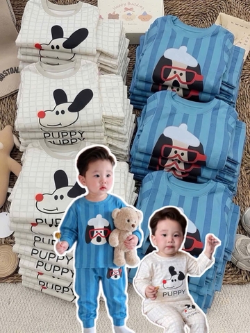 Set 2 bộ cotton dài tay puppy BCD KIDS tông xanh, trắng