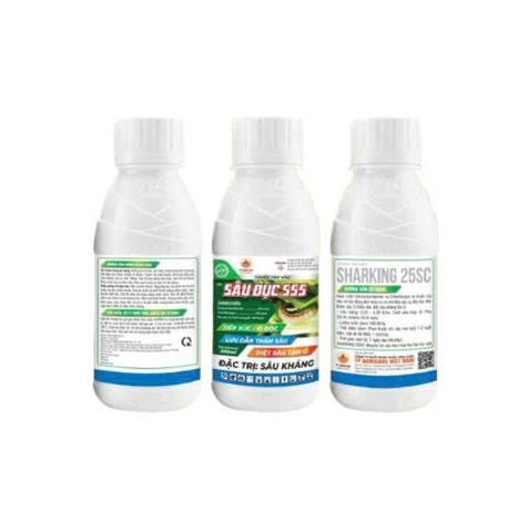 SÂU ĐỤC 555