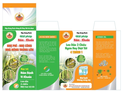 CẶP NẤM KHUẨN