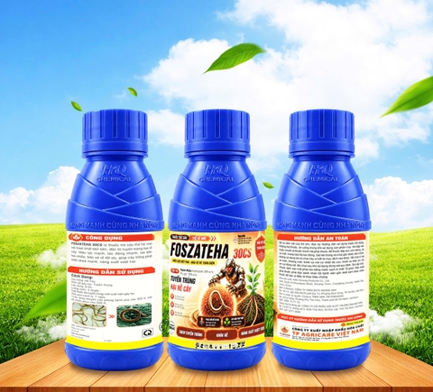 FOSZATEHA 30CS