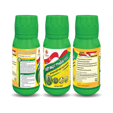 DIỆT ĐỌT THẦN TỐC