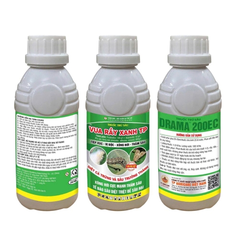Vua Rầy Xanh TP