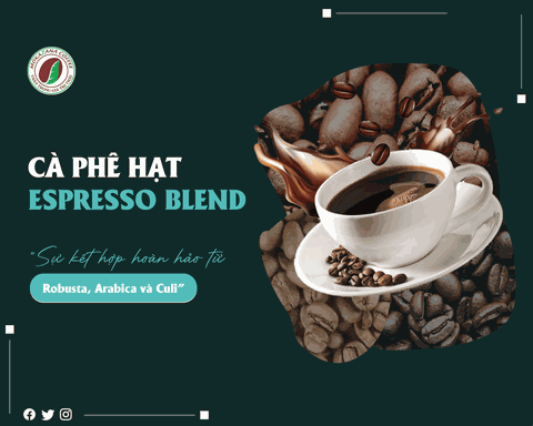 CÀ PHÊ HẠT ESPRESSO BLEND  — SỰ KẾT HỢP HOÀN HẢO TỪ ROBUSTA, ARABICA VÀ CULI