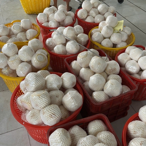 Diamond Cut Coconut