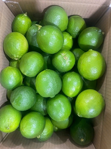 Seedless Lime