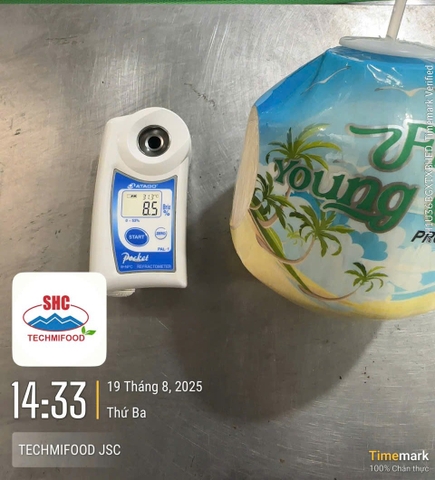 Easy Open Coconut (Button Coconut)