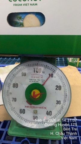 Easy Open Coconut (Button Coconut)