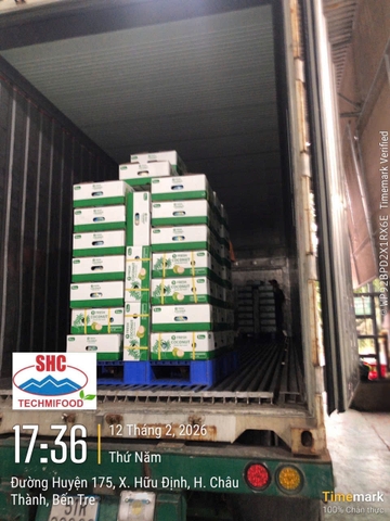 Easy Open Coconut (Button Coconut)