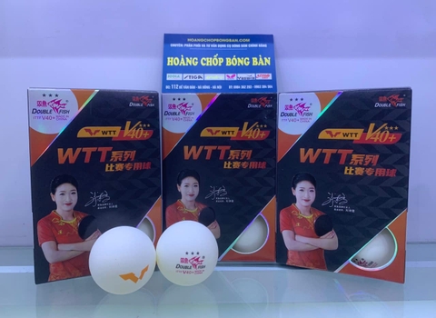 Bóng Song Ngư WTT V40+