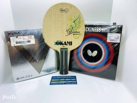 Bộ vợt GOXT01