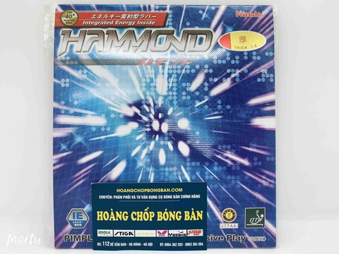 Nittaku Hammond nội đia Nhật