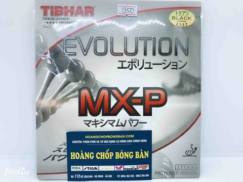 TIBHAR Evolution MX-P