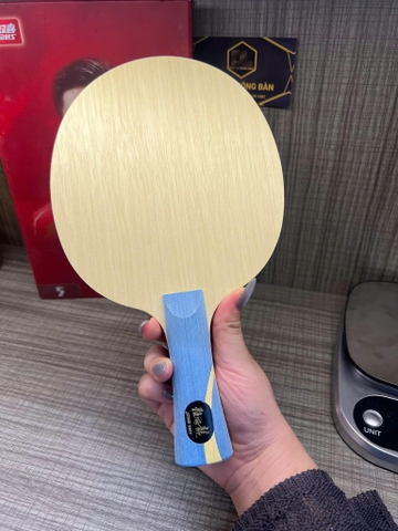 Cốt vợt DHS Malong W968