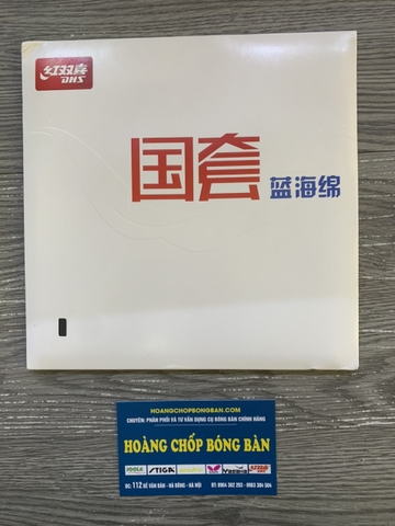 DHS H3 tuyển Quốc Gia lót xanh