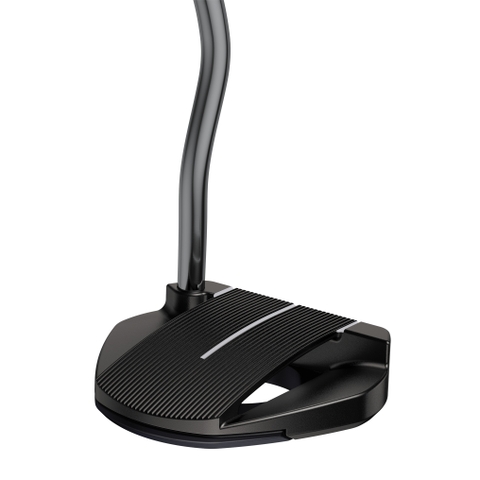 2021 PUTTERS FETCH