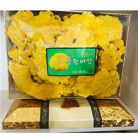NẤM THƯỢNG HOÀNG LOẠI 1 HỘP 1KG