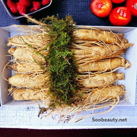 SÂM GEUMSAN  6 CỦ 1 KG - THÂN DÀI LOẠI 1