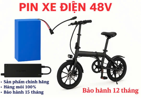 Pin xe đạp điện 48V12Ah chính hãng,tặng sạc 5A