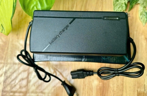 Sạc pin LFP cho tất cả dòng xe máy điện 48V 5A