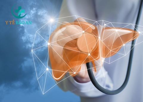 Dịch Vụ Truyền Giải Độc Gan Tại Y Tế Bảo An: Giải Pháp Thải Độc An Toàn
