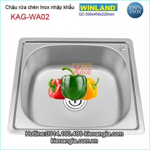 Chậu rửa chén Inox 1 hộc 50x45 cm Winland KAG-WA02