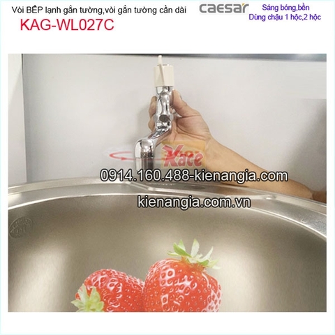 Vòi rửa chén lạnh gắn tường ,vòi bồn tắm lạnh CAESAR WL027C