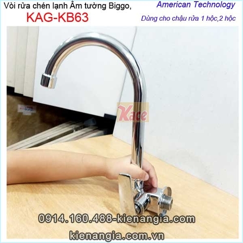 Vòi rửa chén lạnh gắn tường Biggo KAG-KB63
