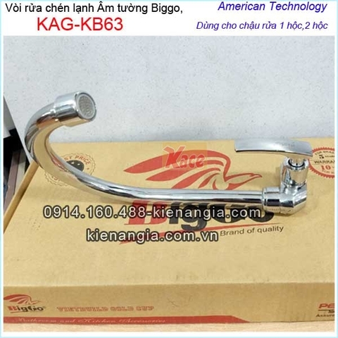 Vòi rửa chén lạnh gắn tường Biggo KAG-KB63