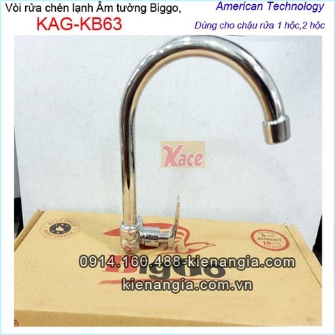 Vòi rửa chén lạnh gắn tường Biggo KAG-KB63