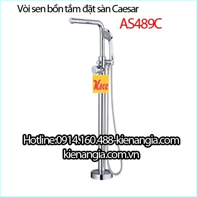 Vòi sen bồn tắm đặt sàn Caesar AS489C