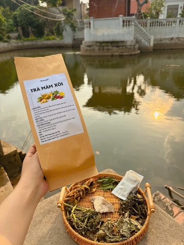 Trà túo lọc mâm xôi tăng nội tiết niêm mạc