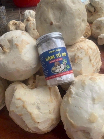 Sâm tố nữ rừng