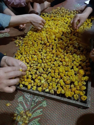 Trà hoa vàng hộp 100g