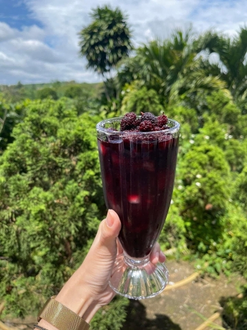 Bình 5kg dâu tằm ngâm đường phèn