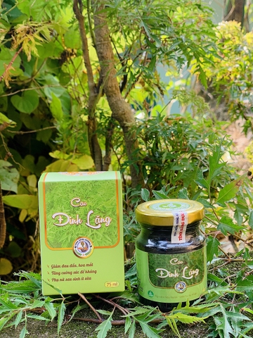 Cao  đinh lăng hỗ trợ Người hay bị đau đầu, hoa mắt chóng mặt. Người hay mệt mỏi, sức đề kháng kém. Phụ nữ sau sinh bị ít sữa,. Người yếu sinh lý…