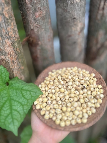 500g hạt sen cổ bóc tay