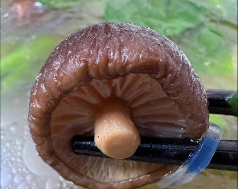 500g Nấm hương cúc Việt