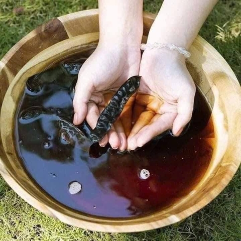 500g bồ kết rừng